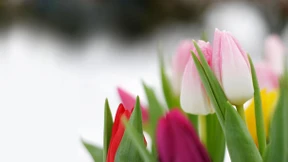 Deutsche Ausgaben steigen, bleiben aber hinter USA zurück