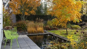 So schön kann der Herbst sein