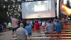 Boviste und Hallimasch passgenau im Forst