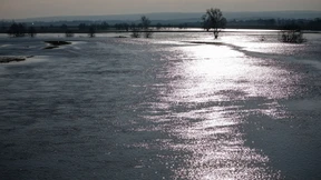 „Überschwemmungen gehören zur Landschaft“