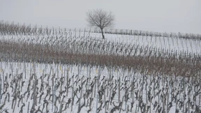 Schneedecke über Deutschland
