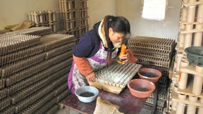 Die Welthauptstadt des Feuerwerks