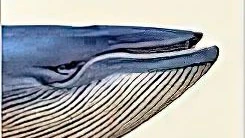 Schwimmen, ohne zu erreichen