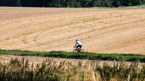 Hoch „Mareike“ bringt Wärme – danach drohen Gewitter