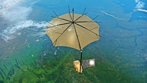 Blick aus dem All auf die Wälder