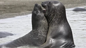 Am Ende kommen immer Männchen und Weibchen heraus