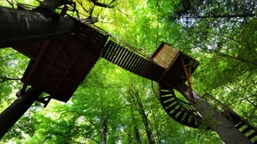 Bauen ohne Basiswissen