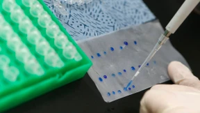 Monsanto verabschiedet sich von Europa als Markt