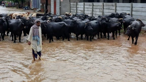 Schlimmste Überschwemmungen seit 1988 in Pakistan
