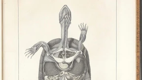 200 Jahre alt und unübertroffen präzise