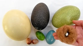  Alternativen zum Frühstücksei