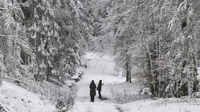 In der kommenden Woche bleibt es weiß