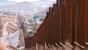 Der Tote unter dem Vergewaltigungsbaum