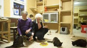 Ein Leben für Eule und Muschi