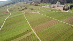 Zu viel Sonne, Wärme und Regen