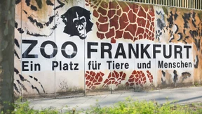 Grünes Licht für Öffnung über Osteingang