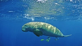 Schwere Zeiten für den Naturschutz