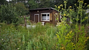 Eine Kita bangt um ihren Garten