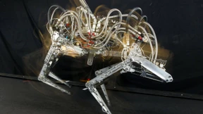 Wir und unsere virtuellen Zombies