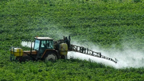 Neue Runde im Glyphosat-Streit