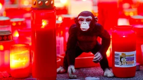 Polizist musste schwer verletzten Gorilla erschießen