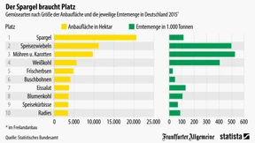 Der Spargel braucht Platz