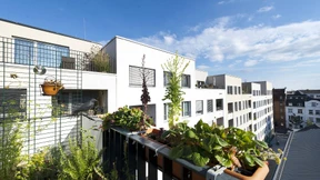 Mietpreisbremse zeigt laut DIW-Studie moderate Wirkung