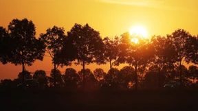 2023 wärmstes Jahr in Deutschland