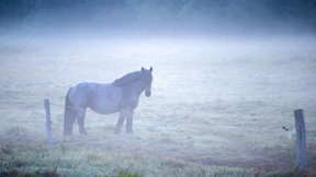 Eine Beziehung, die keiner verstand