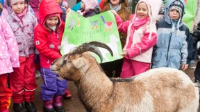 Protest gegen Schließung des Streichelzoos  
