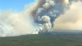 Royal National Park in Flammen