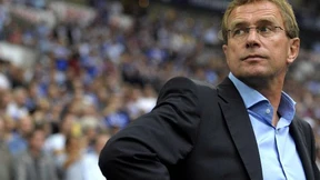 Trainer, hört auf die Körpersignale!