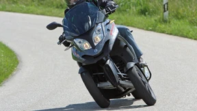 Auf den Spuren des Unikums