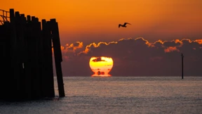 „Jakobsmuschel-Krieg“ im Ärmelkanal