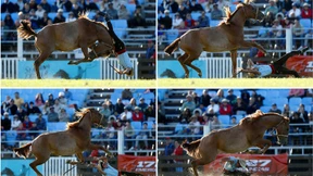 So fall’n die Gauchos