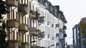 Neue Urteile zum Immobilienrecht