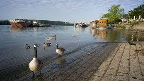 Entdeckung des Rheins