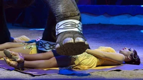 Tödlicher Absturz bei der Sprungprobe