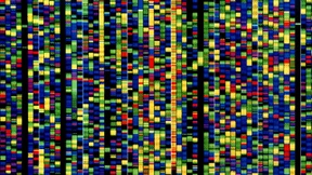 Fragen Sie Ihren Arzt oder den Computer