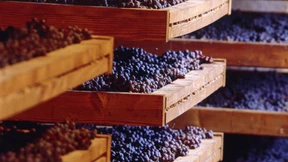 Ist er zu stark, bist du zu schwach