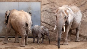 „Man kann nicht sagen: Zappel mal nicht so“