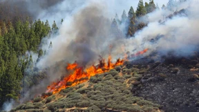 Waldbrand auf Urlaubsinsel dauert an