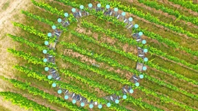 Eine Art Oxford der Welt des Weines