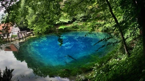 Das schaurige Schicksal der schönen Lau