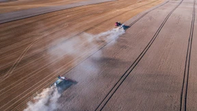 Die grüne Bio-Utopie