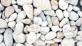 „Krebs endlich den Schrecken nehmen“