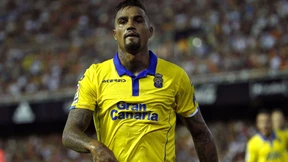 Von Lust und Qual  der richtigen Wahl