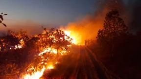 „Unser Haus brennt“