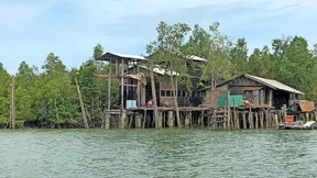 Wie im indonesischen Dschungel eine Solarfabrik entstehen soll