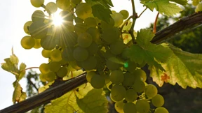 „Wir haben Wassermangel überall“